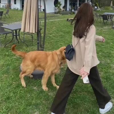 疾速追杀3