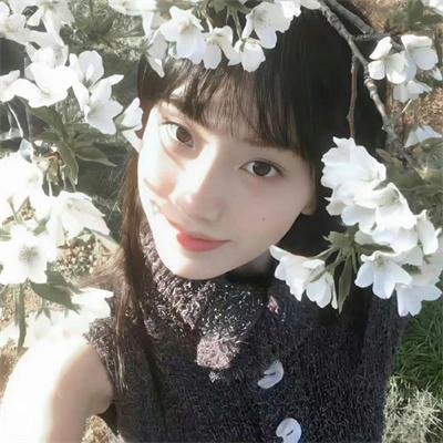 女人树